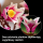 LEGO BOTANICALS 11510 Gałązki magnolii - 1489546 - zdjęcie 6
